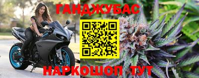 дмт Сланцы