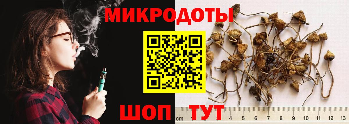Псилоцибиновые грибы Cubensis  Вход с VPN  Полевской 